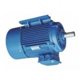 Vickers 2525V-17A12-1AA22L Double Vane Pump