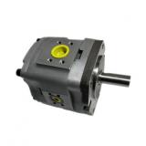 A4VG Hydraulic Piston Pump of Rexroth A4VG56 Parts Rotary Group/Cylinder Block/Valve plate
